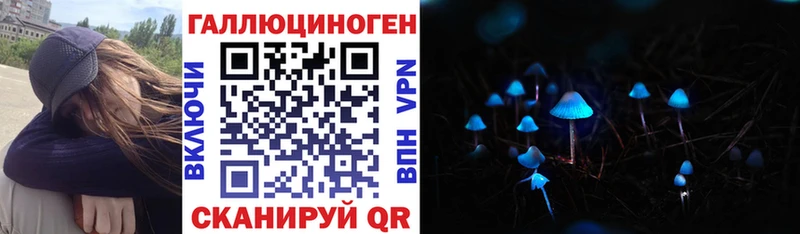 Псилоцибиновые грибы Cubensis  Тогучин 