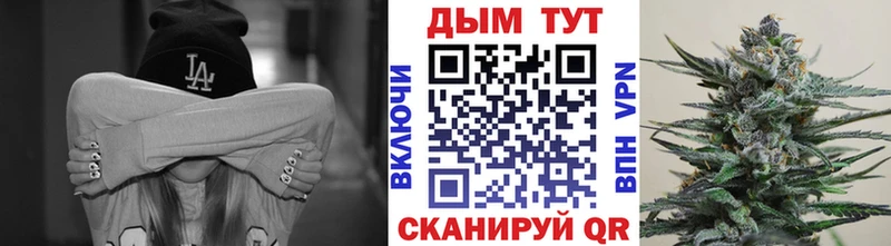 Каннабис сатива  blacksprut   Тогучин 